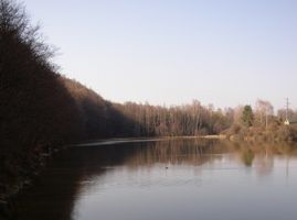 Bojovský potok 2-Prostřední 29.3.04 (3).JPG